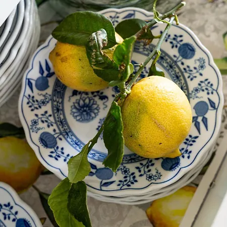 Casa De Limon