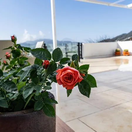 Casa De Limon Cerrogordo