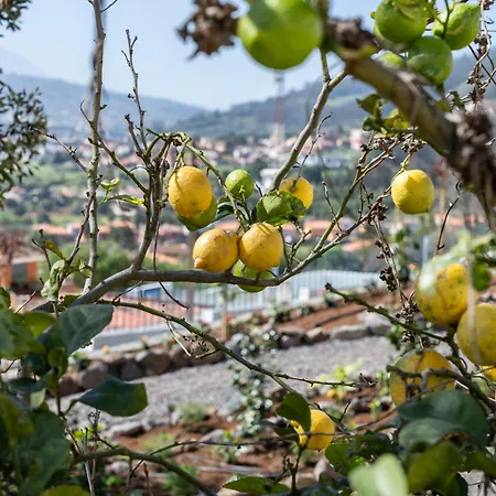 Casa De Limon Holiday home