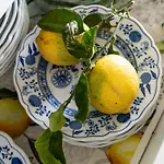 Casa De Limon